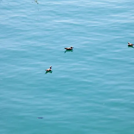 La Finestra Sul Mare Vista Mare * 安齐奥
